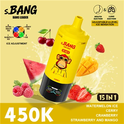 LEADER BANG 450K 15 in 1 Vape